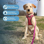 Step-In Air Mesh Dog Harness by Best Pet Supplies