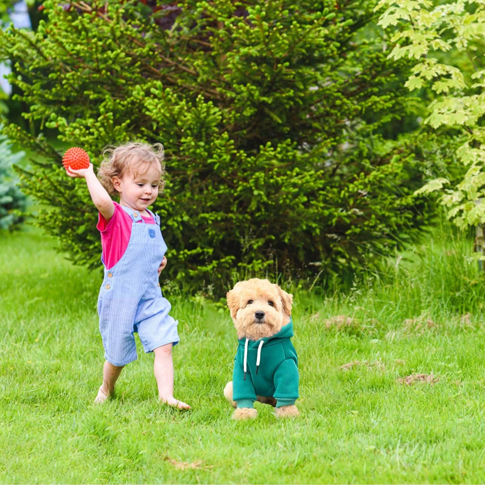 Dog Sweaters for Small Dogs, Fall Warm Dogs Boy Clothes Sweater, Medium Puppy with Pocket Fleece for Small Dog Girl Winter Hoodie Pet Clothes, Pet Supplies Red