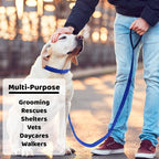 Slip Lead Dog Leash 12 Pack, 4' X 1/2" - Universal Dog Leash with Metal O Ring - Machine Washable for Groomers, Shelters, Rescues, Vets, or Doggy Daycares