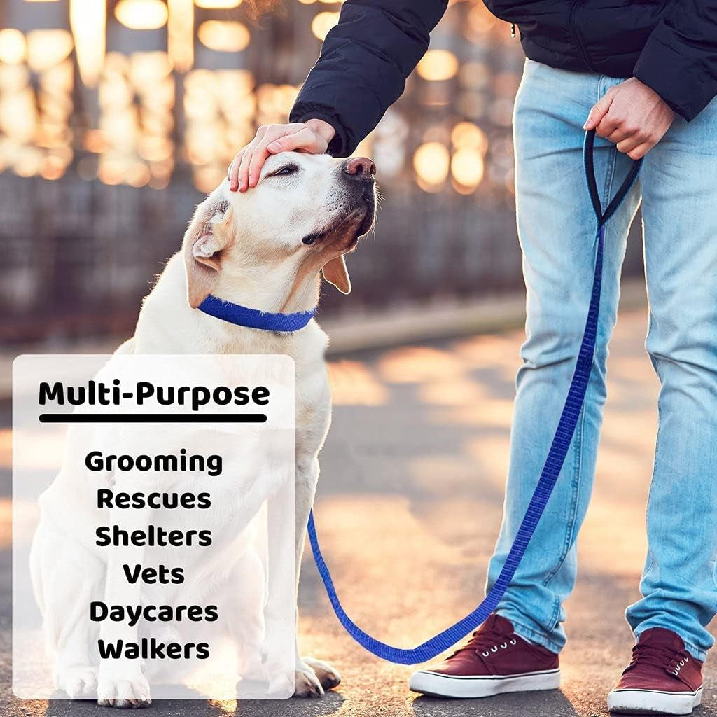 Slip Lead Dog Leash 12 Pack, 4' X 1/2" - Universal Dog Leash with Metal O Ring - Machine Washable for Groomers, Shelters, Rescues, Vets, or Doggy Daycares