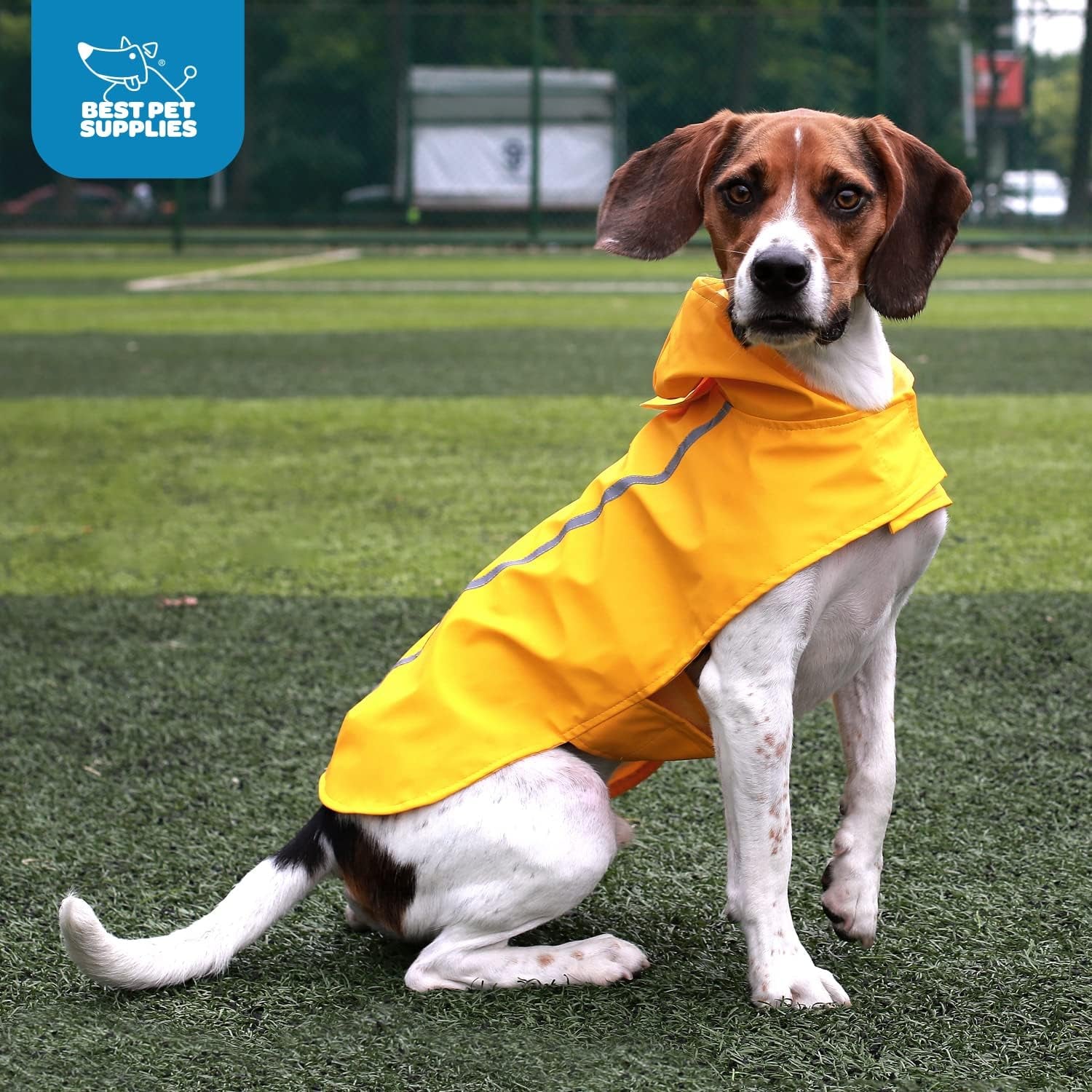 - Voyager Waterproof Dogs Rain Poncho, Yellow, Medium, "Chest: 19"" ~ 25""" (253-YW-M)