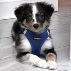 Step-In Air Mesh Dog Harness by Best Pet Supplies