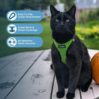 Step-In Air Mesh Dog Harness by