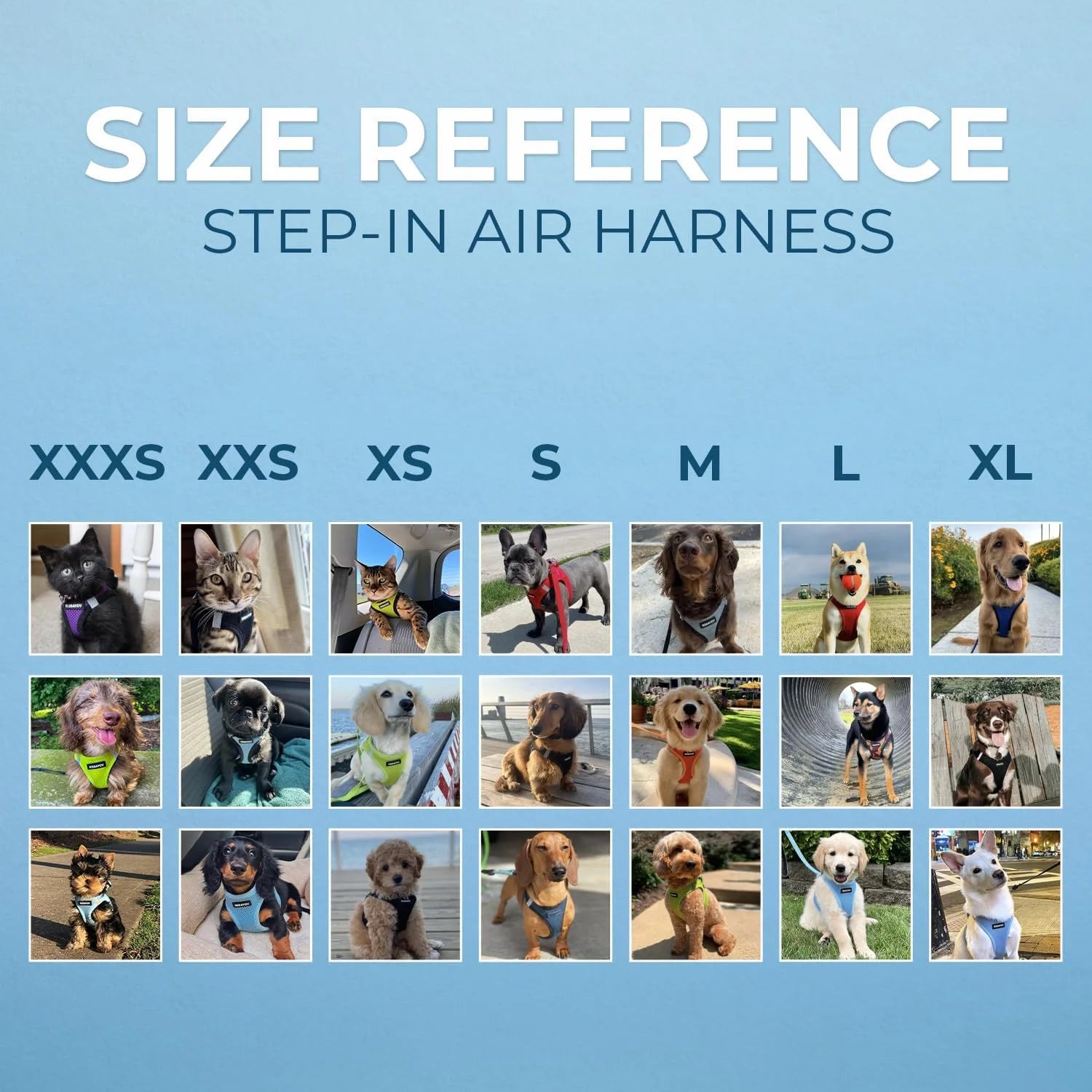 Step-In Air Mesh Dog Harness by