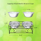 40 Oz. Stainless Steel Elevated Pet Bowls with 6.5 In. Tall Stand (Set of 2)