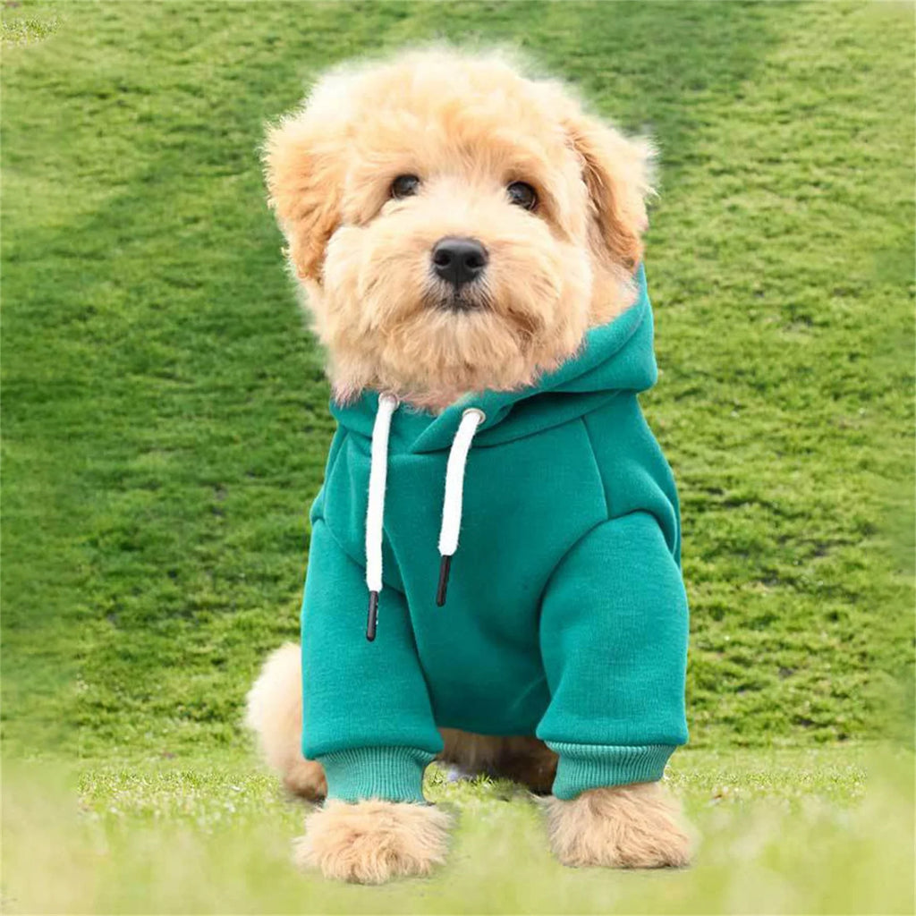 Dog Sweaters for Small Dogs, Fall Warm Dogs Boy Clothes Sweater, Medium Puppy with Pocket Fleece for Small Dog Girl Winter Hoodie Pet Clothes, Pet Supplies Red